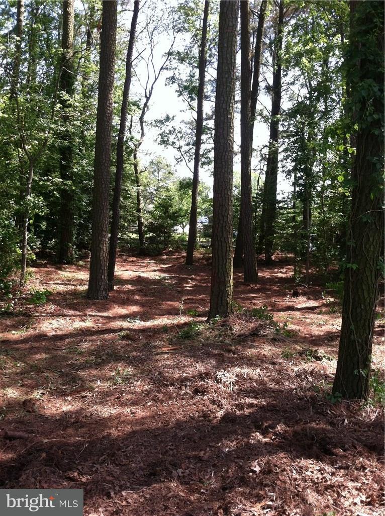 Lot 14 Piney Point Road, Unit 14 Ocean View, DE 19970 - Photo 6 of 10 Gallery Image 6
