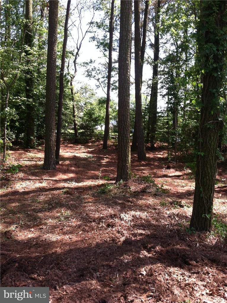 Lot 14 Piney Point Road, Unit 14 Ocean View, DE 19970 - Photo 8 of 10 Gallery Image 8