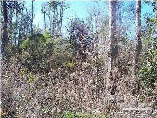Doc Whitfield Road Wewahitchka, FL 32465 - Photo 2 of 2 a view of a yard