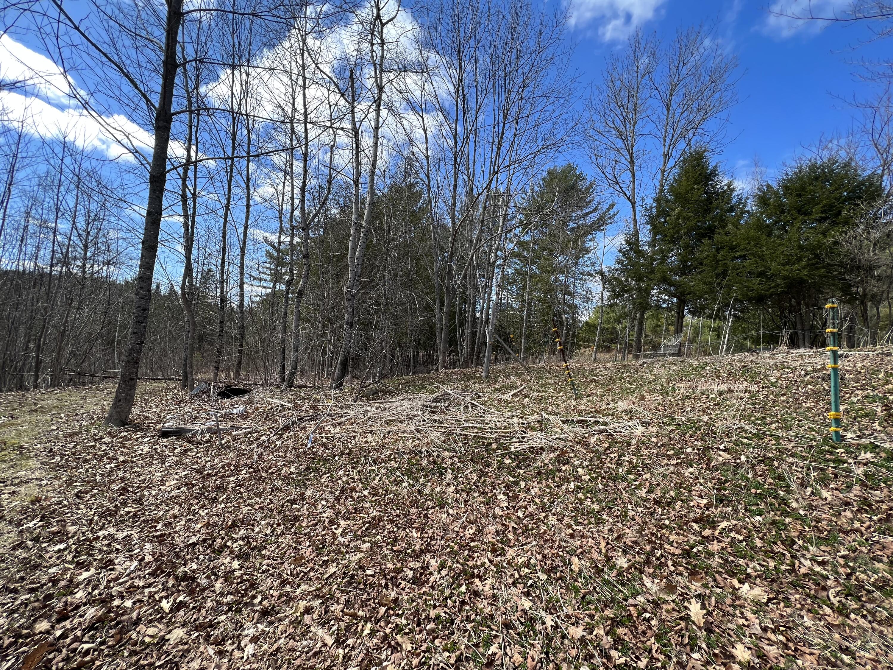 471 Airline Road Amherst, ME 04605 - Photo 45 of 55 3E1B27A4-1D40-4F46-B283-0CEB737AD28B