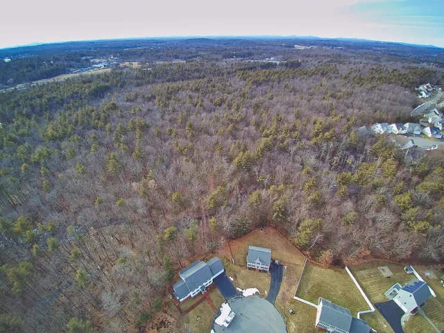 a view of a city with lush green forest