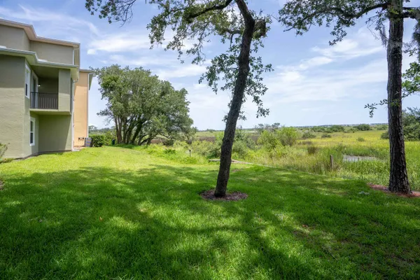 a view of a garden with a tree