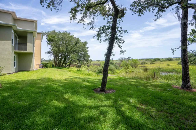 a view of a garden with a tree
