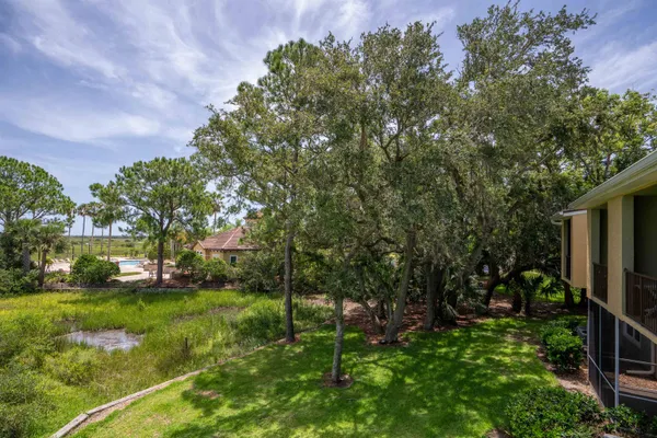 a view of a lush green forest with lots of trees