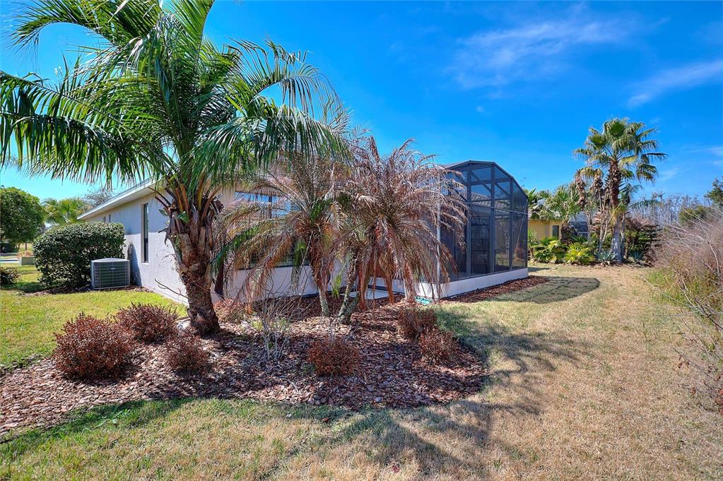 531 Villa Park Road Kissimmee, FL 34759 - Photo 33 of 63 a view of a yard with palm tree