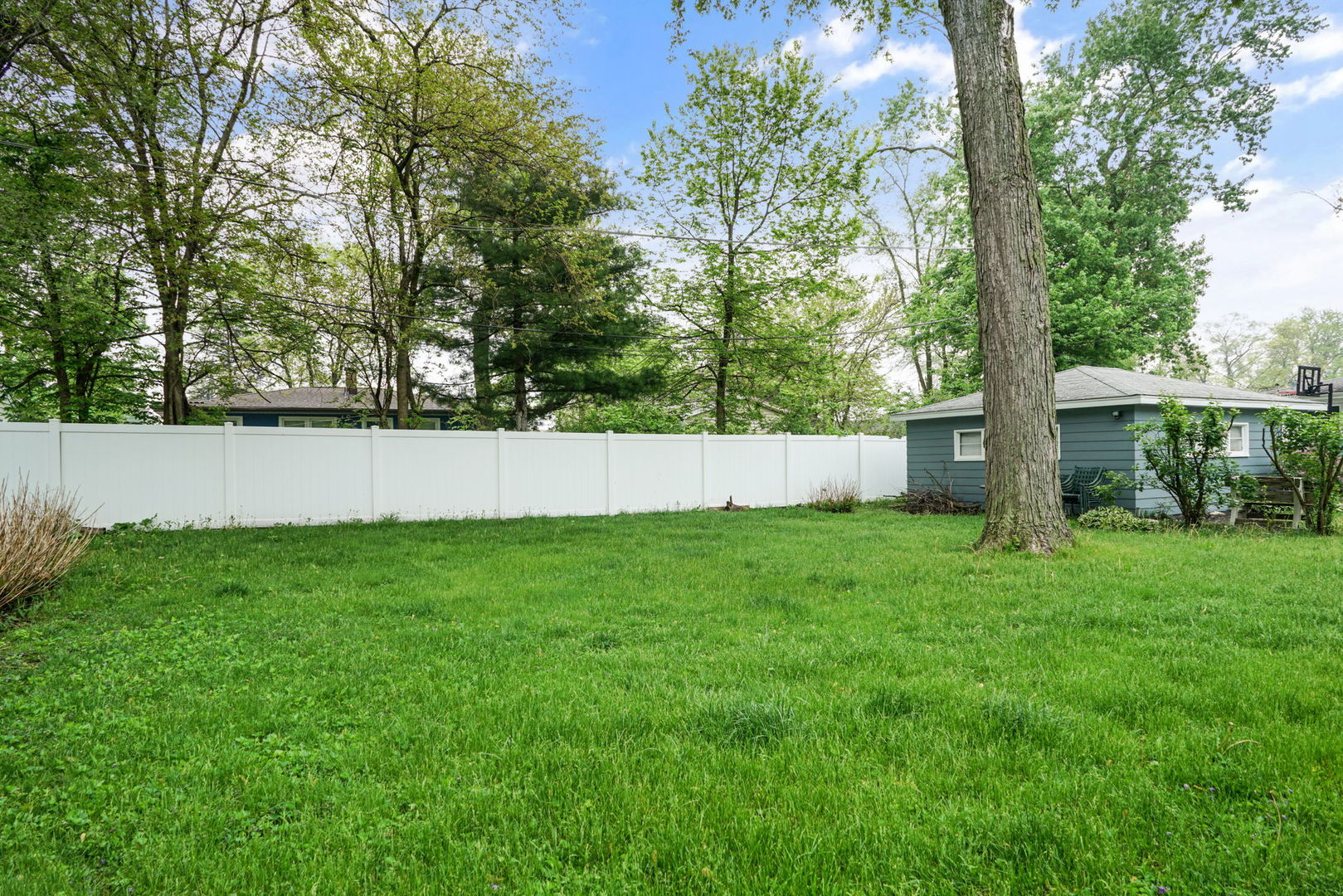 1110 Olive Road Homewood, IL 60430 - Photo 15 of 16 a view of backyard with tree