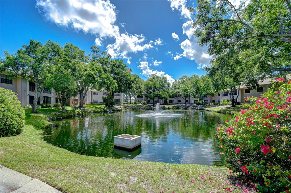 2139 Elm Street, Unit 308 Dunedin, FL 34698 - Photo 48 of 48