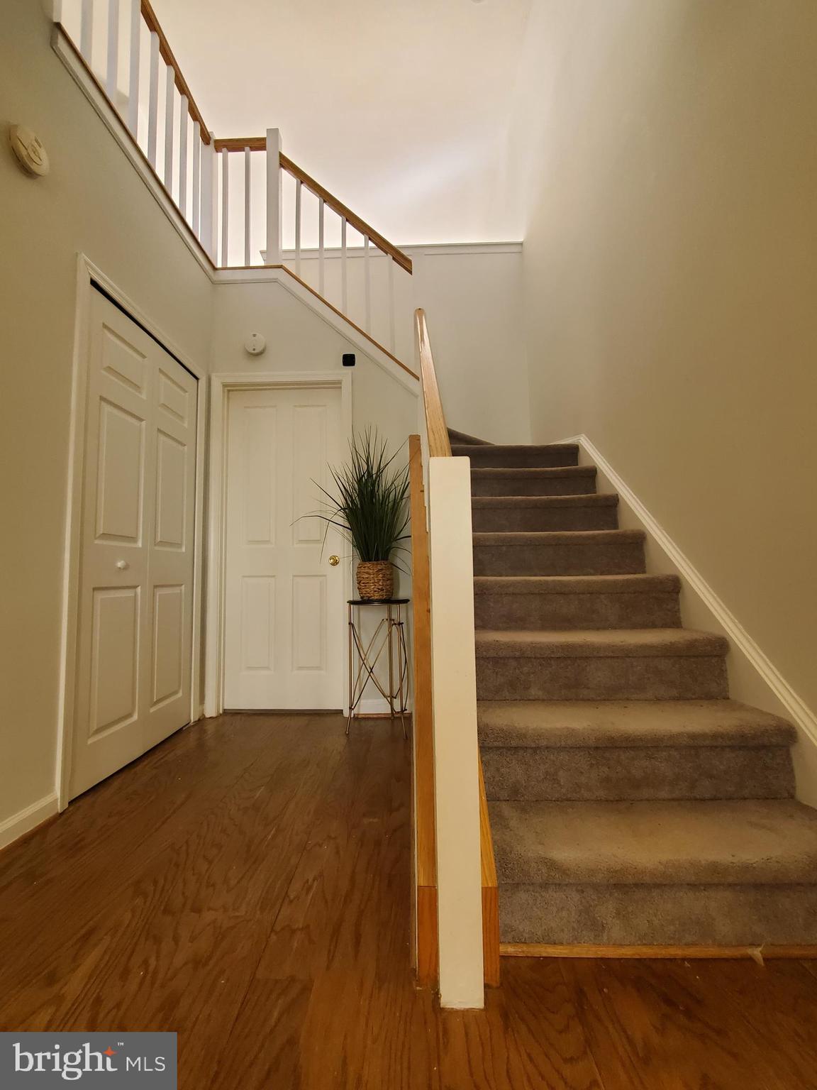 5218 Downing Road Baltimore, MD 21212 - Photo 3 of 29 Gallery Image 3