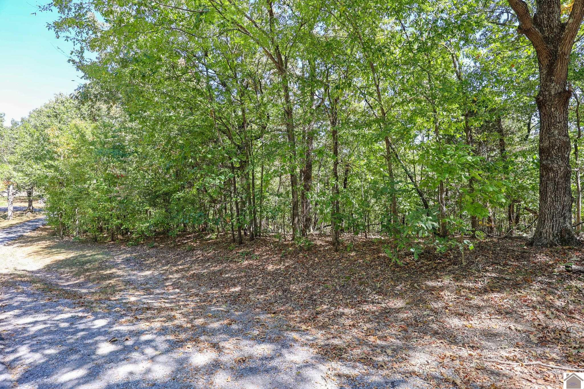 69 Waschick Road Kuttawa, KY 42055 - Photo 12 of 12 Photo 12