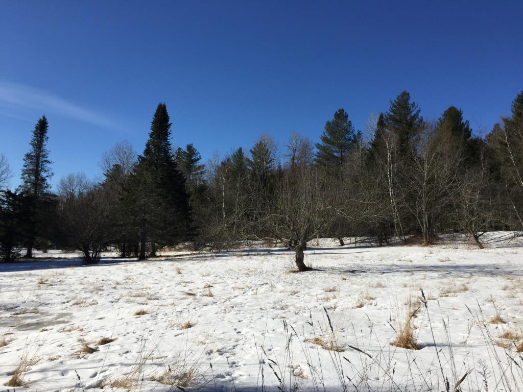 181 Hampshire Hill Road Worcester, VT 05682 - Photo 11 of 17