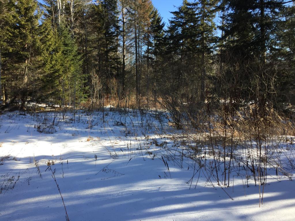 181 Hampshire Hill Road Worcester, VT 05682 - Photo 12 of 17