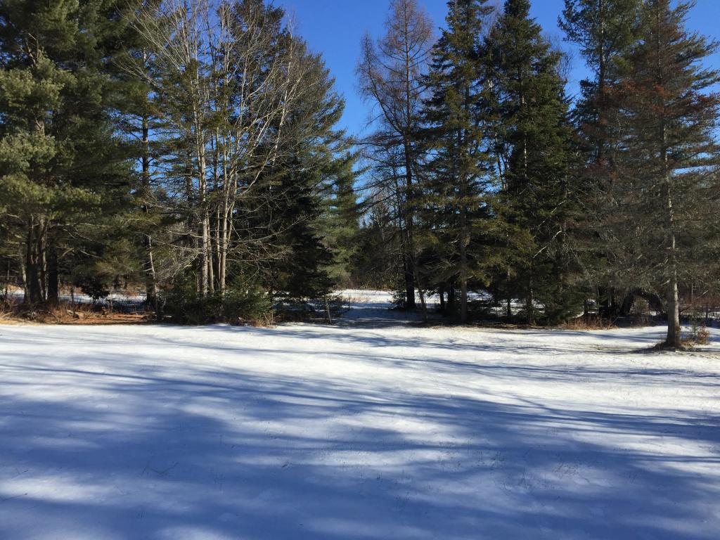 181 Hampshire Hill Road Worcester, VT 05682 - Photo 14 of 17