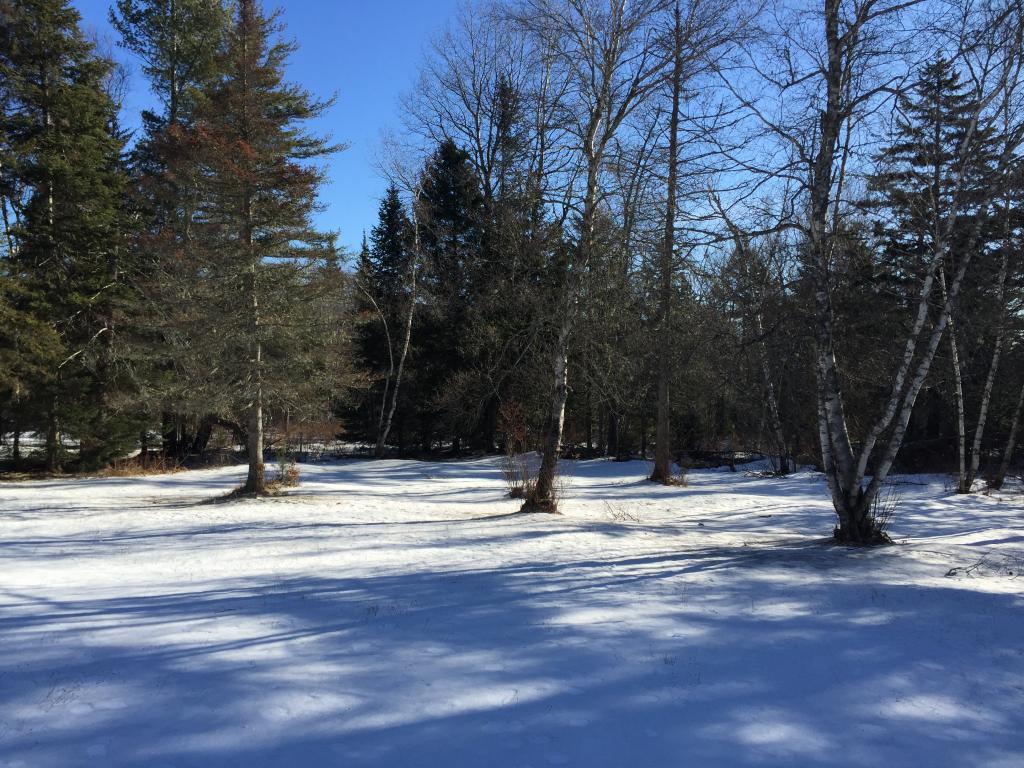 181 Hampshire Hill Road Worcester, VT 05682 - Photo 15 of 17