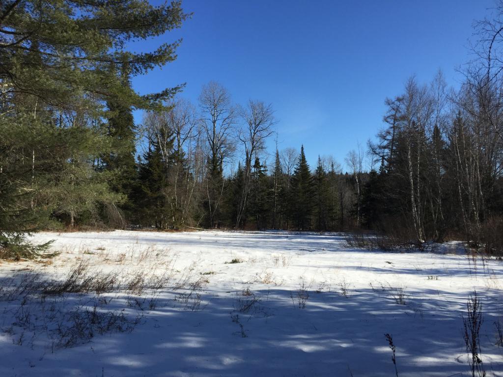 181 Hampshire Hill Road Worcester, VT 05682 - Photo 16 of 17