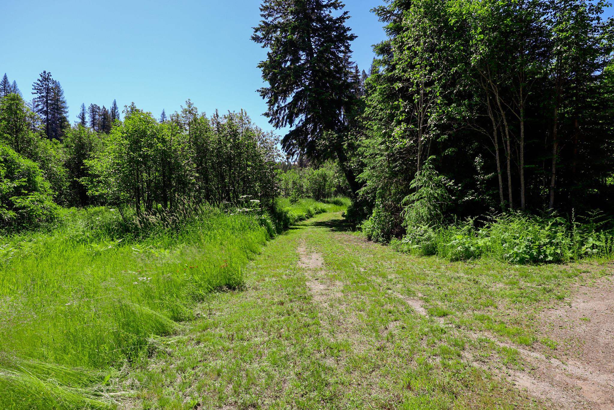 14 Elk Road, Unit LOT 14 ELK RD Newport, WA 99156 - Photo 8 of 13