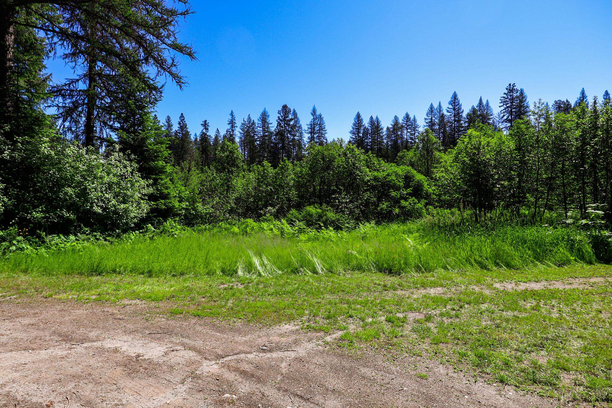 14 Elk Road, Unit LOT 14 ELK RD Newport, WA 99156 - Photo 9 of 13