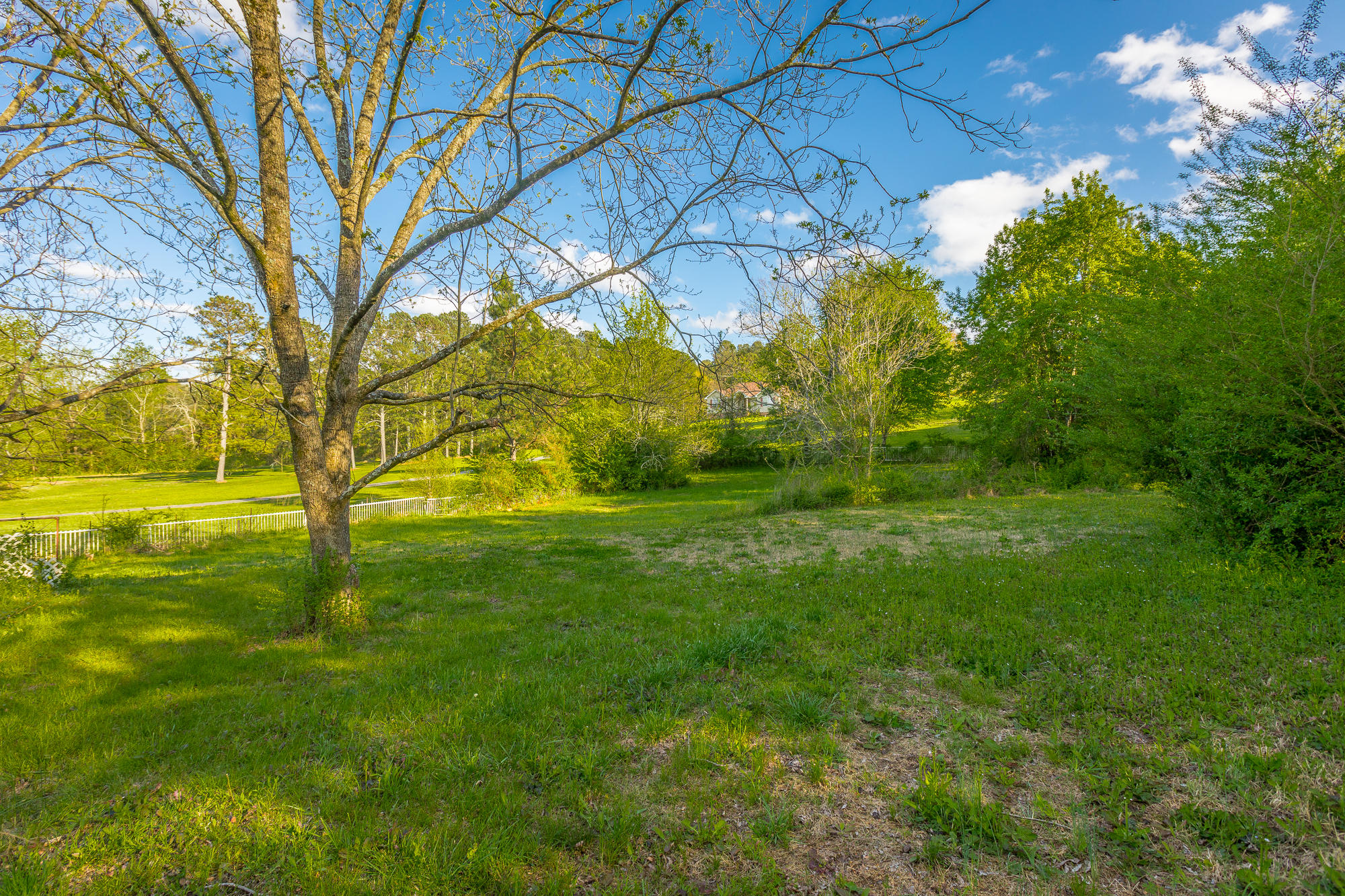 1122 Clyde Byrd Road Rock Spring, GA 30739 - Photo 54 of 66 Back Lot