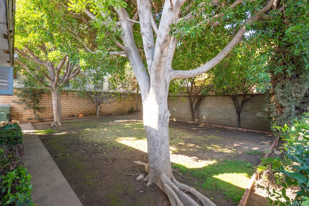 1025 La Cadena Avenue Arcadia, CA 91007 - Photo 24 of 43 Beautiful shady area in back.