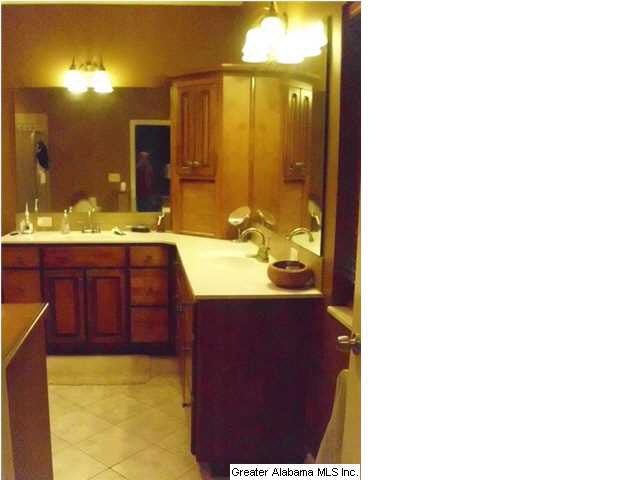 500 County Road 558 Verbena, AL 36091 - Photo 20 of 28
