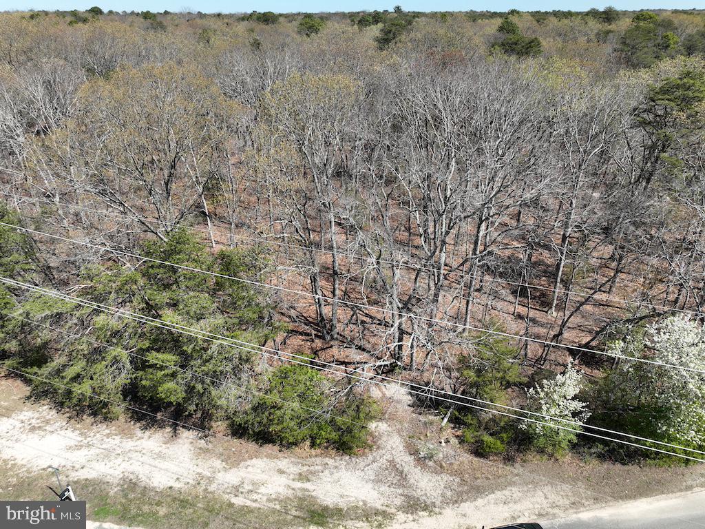 351 Shaws Mill Road Cedarville, NJ 08311 - Photo 73 of 84