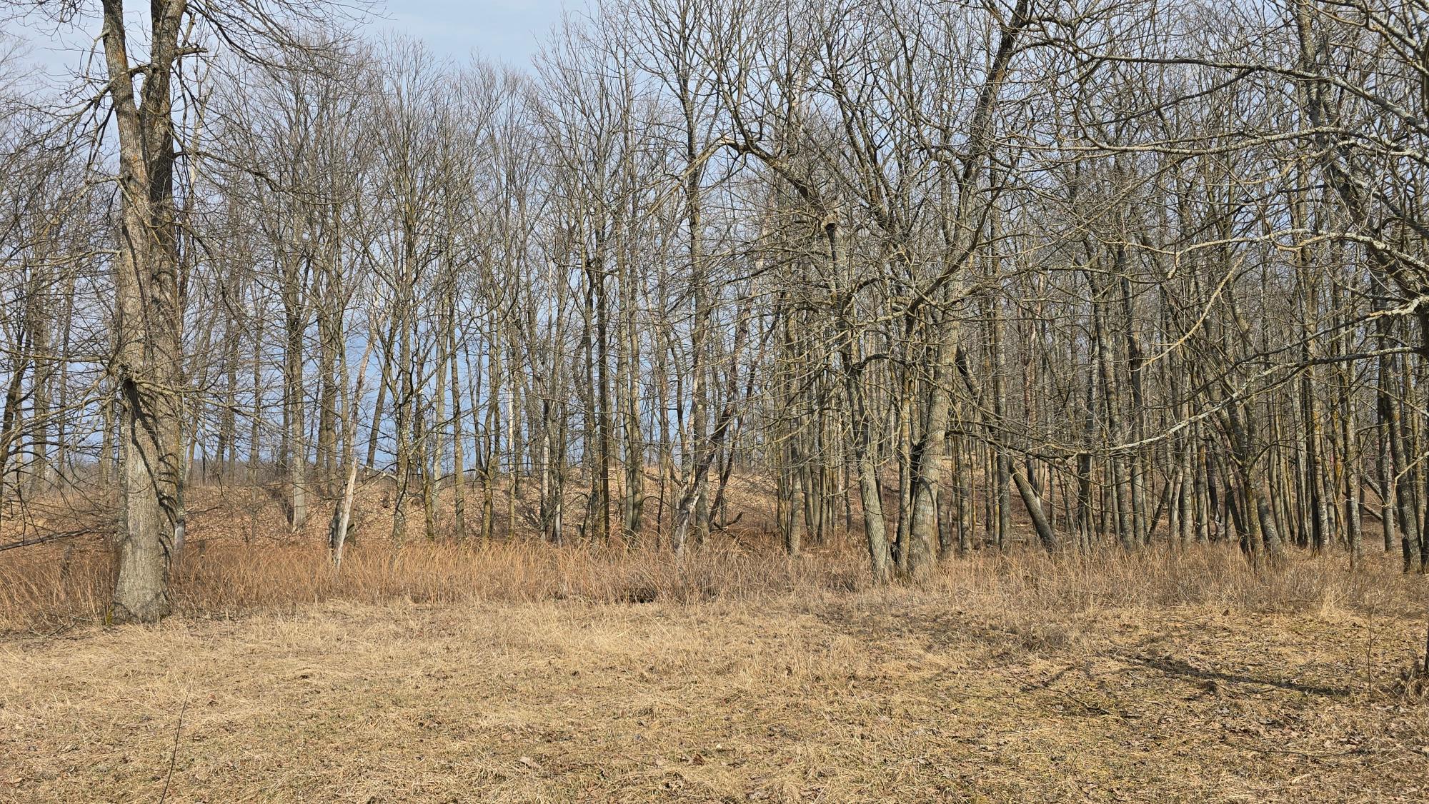 W6280 Sherry Road Bryant, WI 54418 - Photo 32 of 73 Gallery Image 32