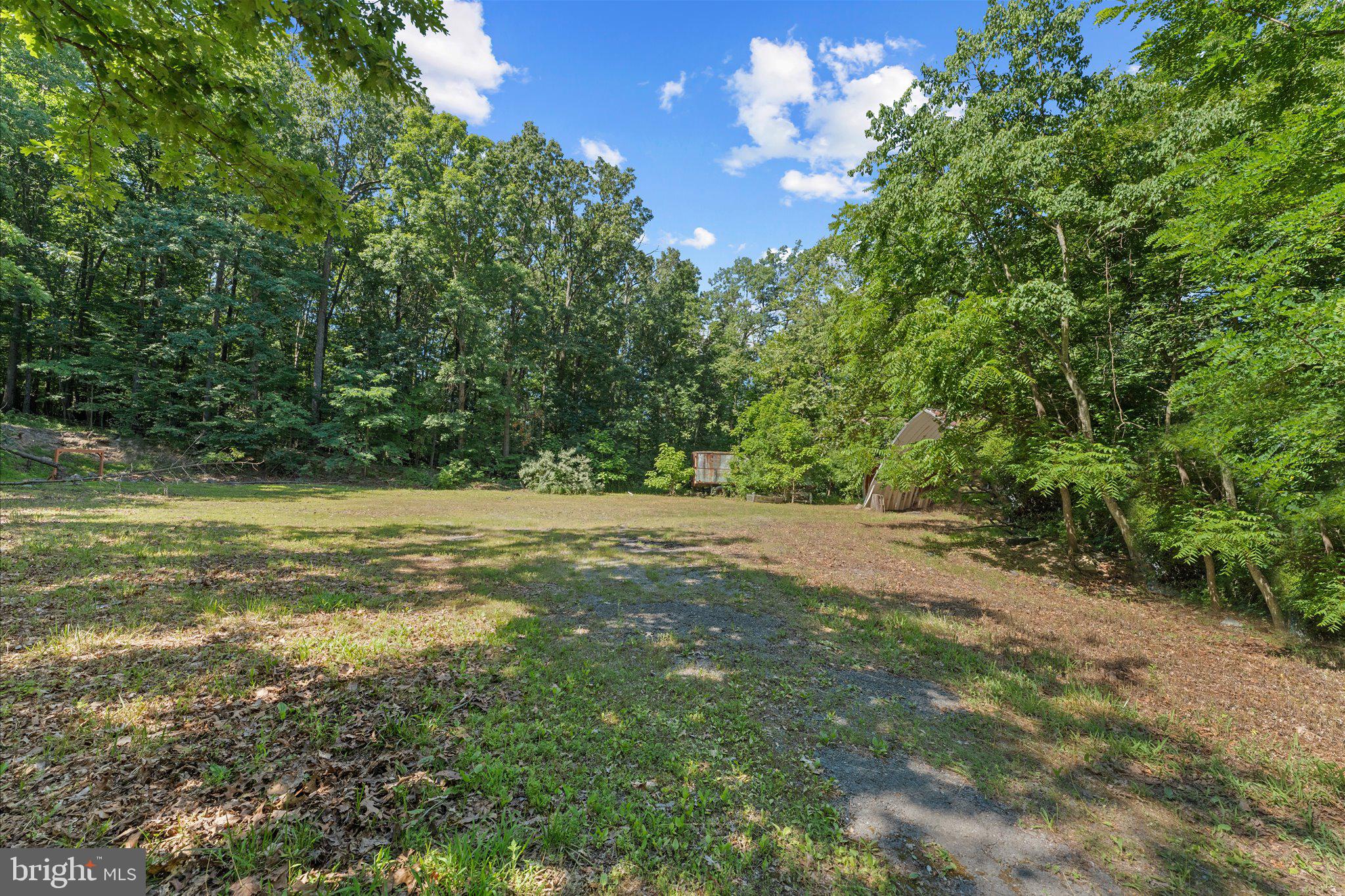 202 Cedar Grove Road Winchester, VA 22603 - Photo 15 of 21 Serene woodland retreat awaits you.