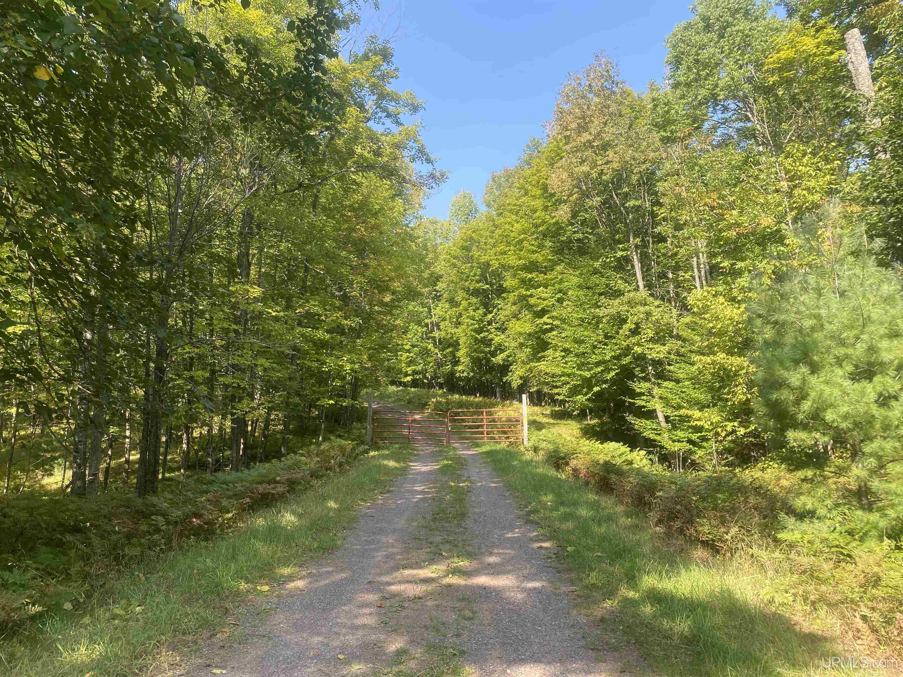 13-14 Grace Lake Road Watersmeet, MI 49969 - Photo 22 of 23