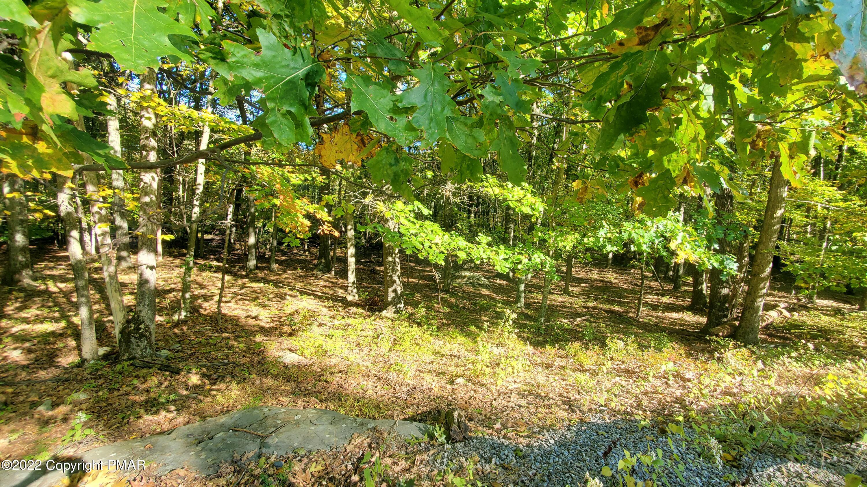 a view of yard from a tree