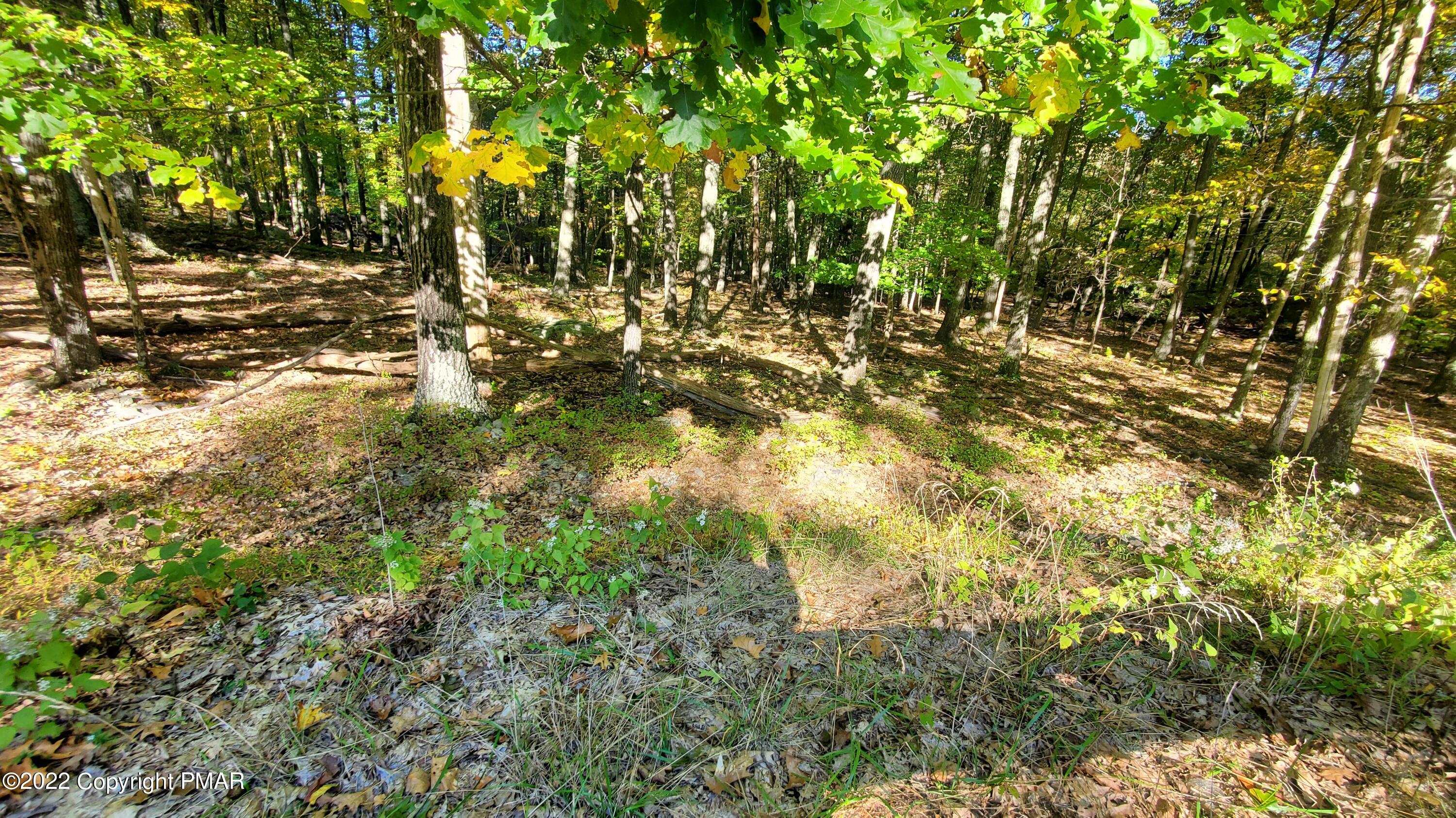 Lot 3582 Warrick Court Bushkill, PA 18324 - Photo 2 of 8 a view of tree