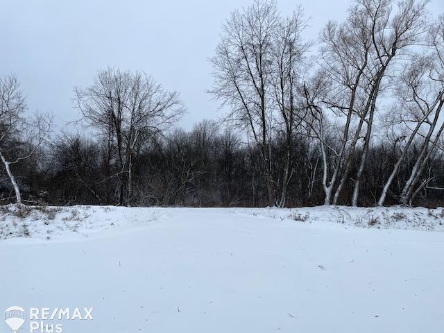 Parcel C Roods Lake Road Lapeer, MI 48446 - Photo 1 of 8