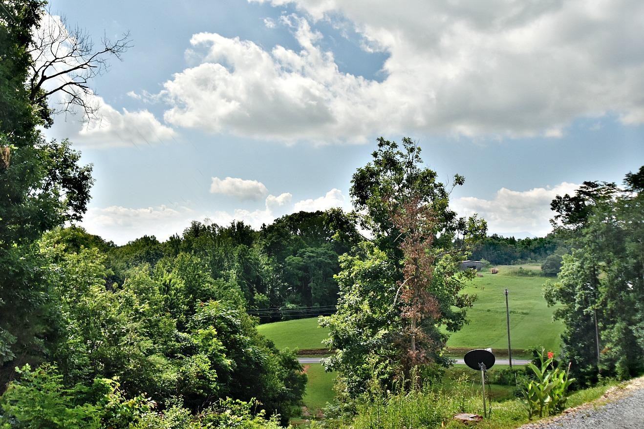 950 Chestnut Grove Road Dandridge, TN 37725 - Photo 23 of 25 a view of a garden
