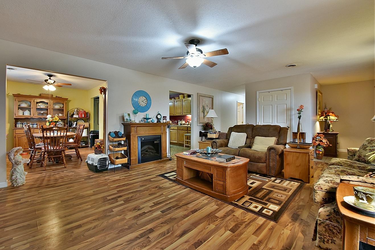 950 Chestnut Grove Road Dandridge, TN 37725 - Photo 6 of 25 a living room with furniture and a fireplace