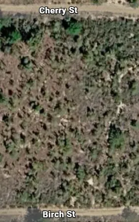 $6,000 | 0 Unassigned Location, Interlachen, FL 32148