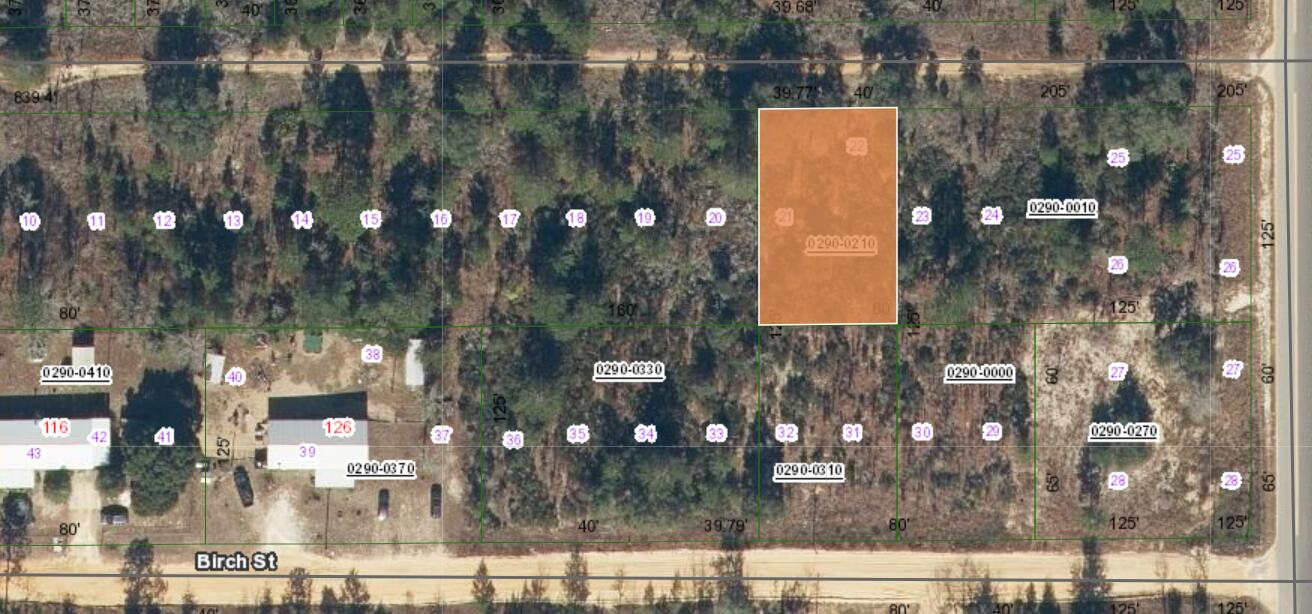 0 Unassigned Location Interlachen, FL 32148 - Photo 4 of 4 Screenshot 2026-04-16 143358