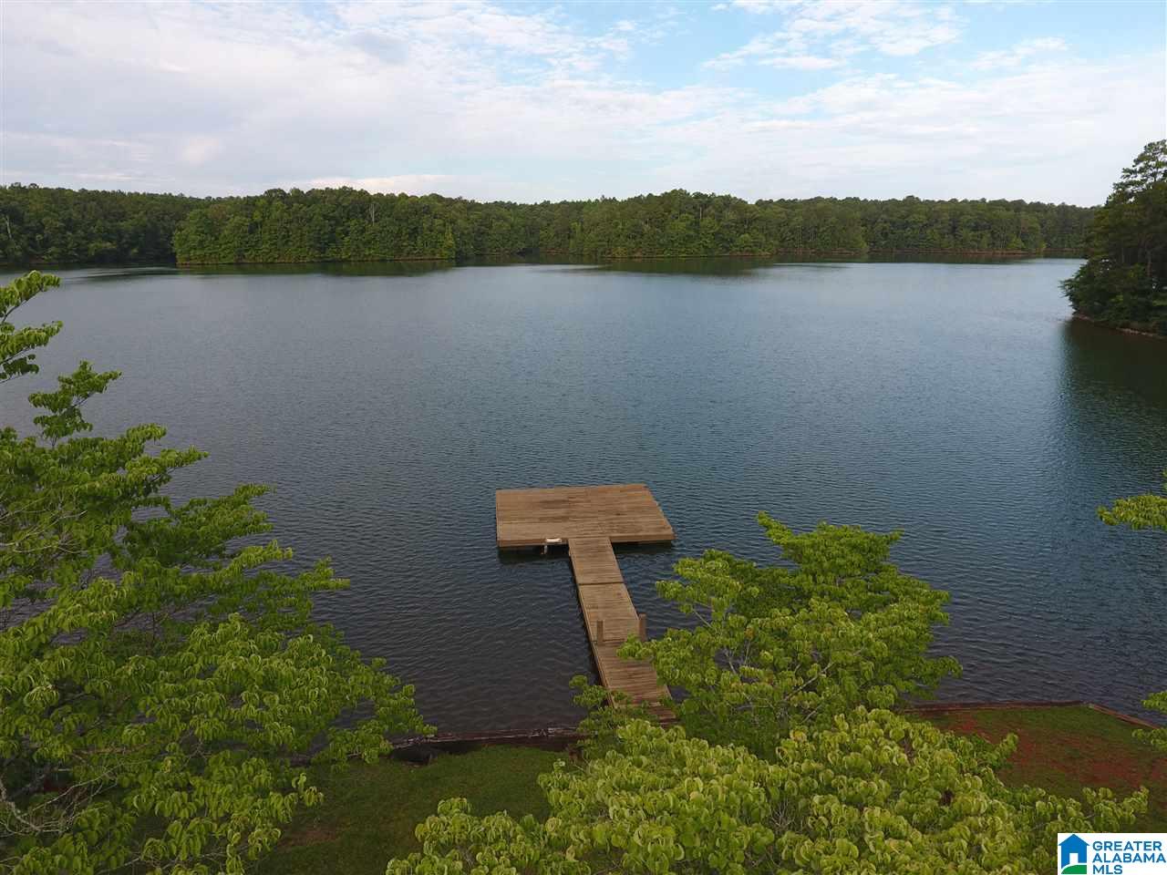335 Hanson Road Wedowee, AL 36278 - Photo 3 of 24