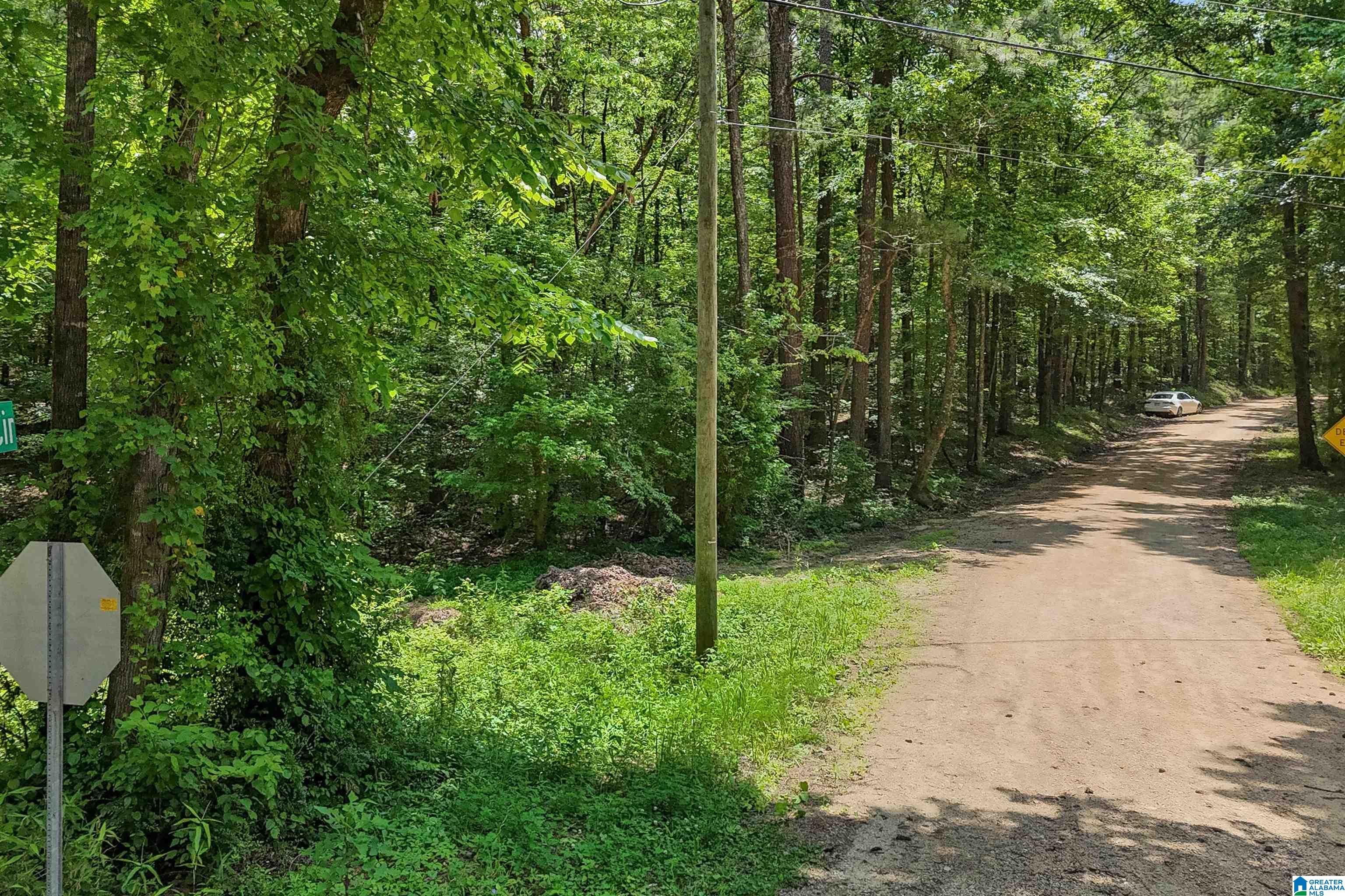 0 Red Oak Circle Helena, AL 35080 - Photo 5 of 21