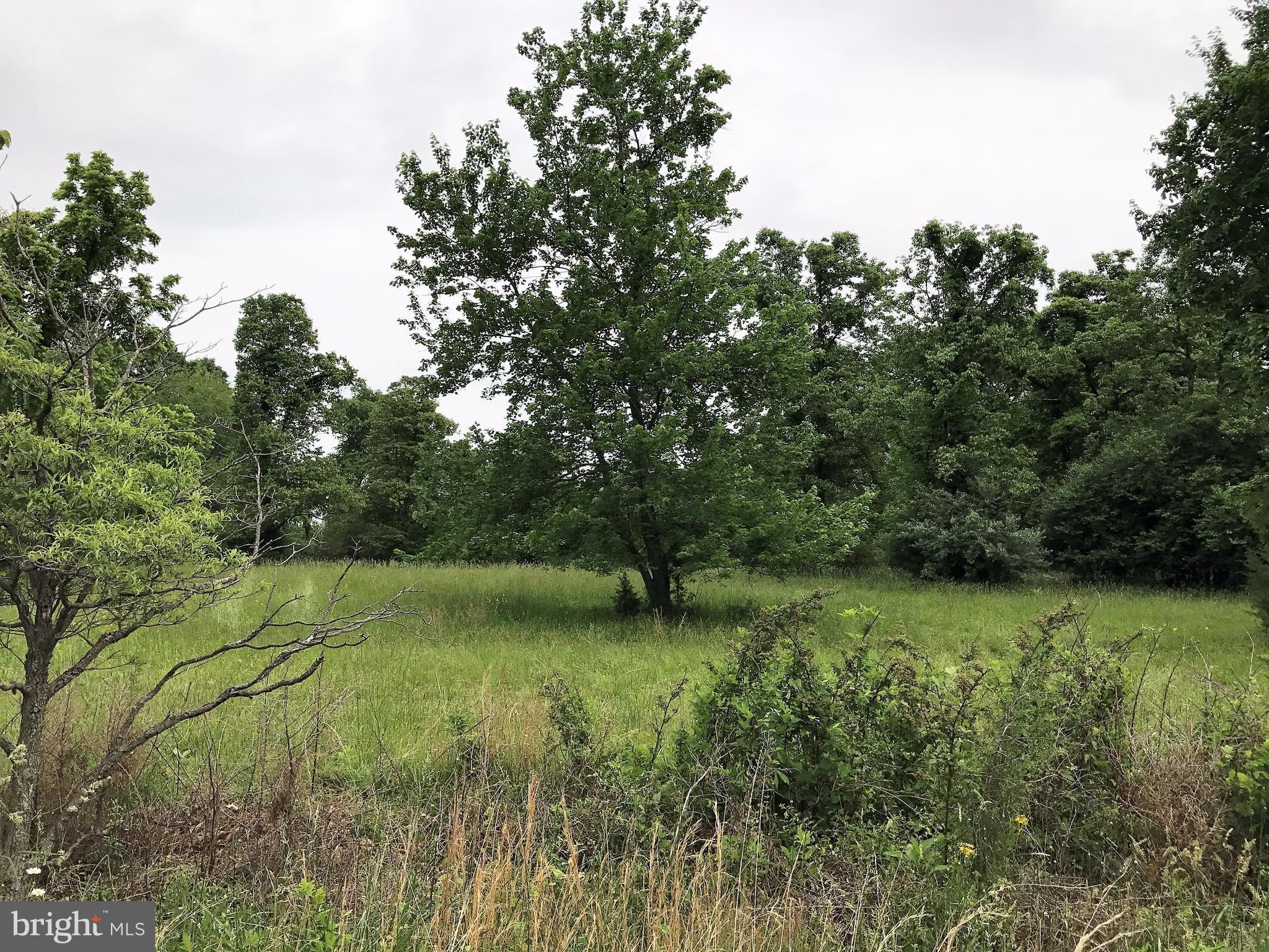 17016 Gaines Road Broad Run, VA 20137 - Photo 5 of 9 Raw Land On Paved Road