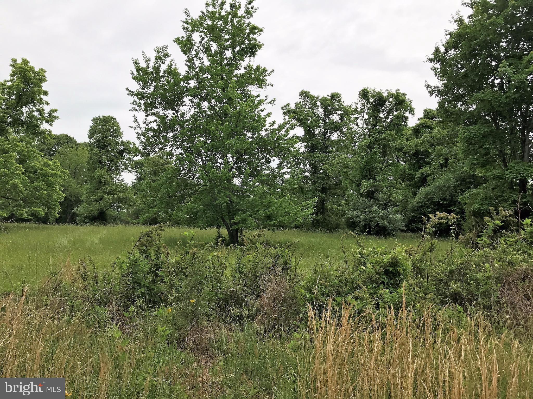 17016 Gaines Road Broad Run, VA 20137 - Photo 9 of 9 Raw Land On Paved Road