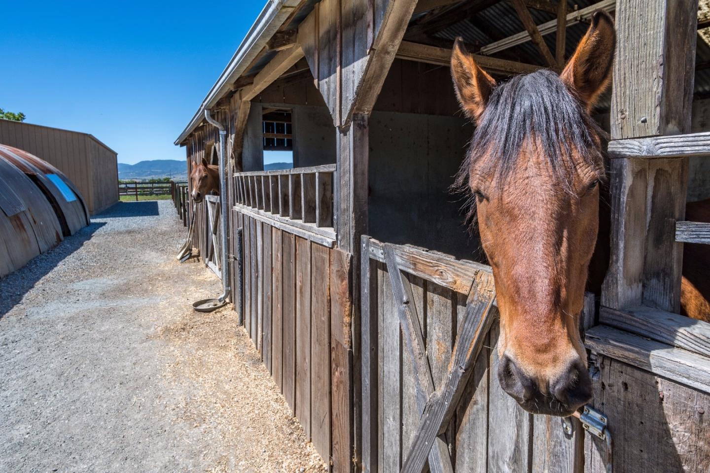 991 Wright Road Hollister, CA 95023 - Photo 5 of 15 Gallery Image 5