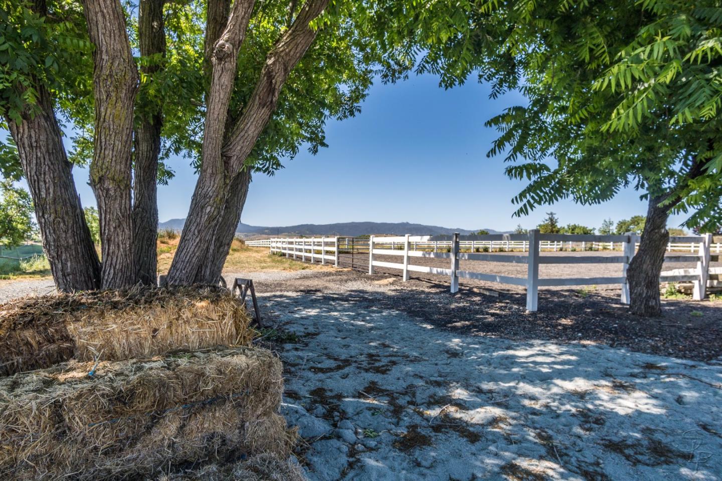 991 Wright Road Hollister, CA 95023 - Photo 8 of 15 Gallery Image 8
