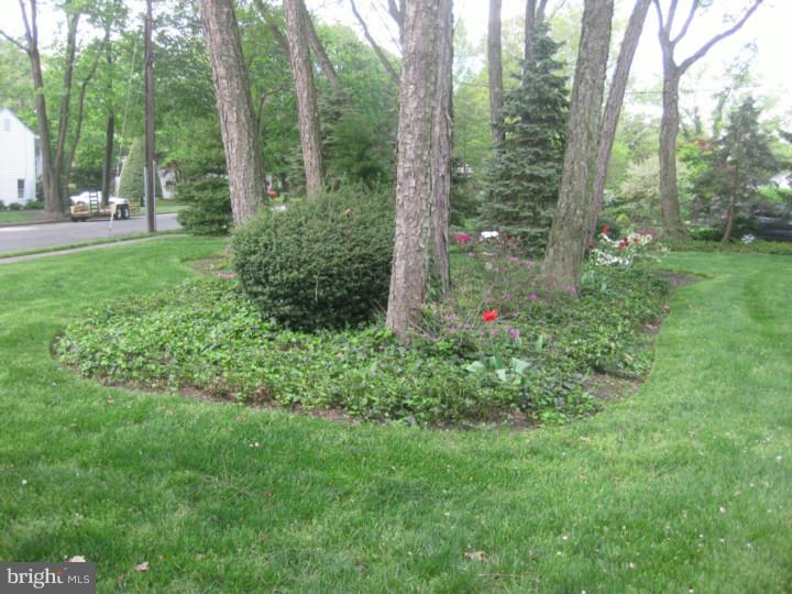 1604 2nd Street Delanco, NJ 08075 - Photo 15 of 22 Garden