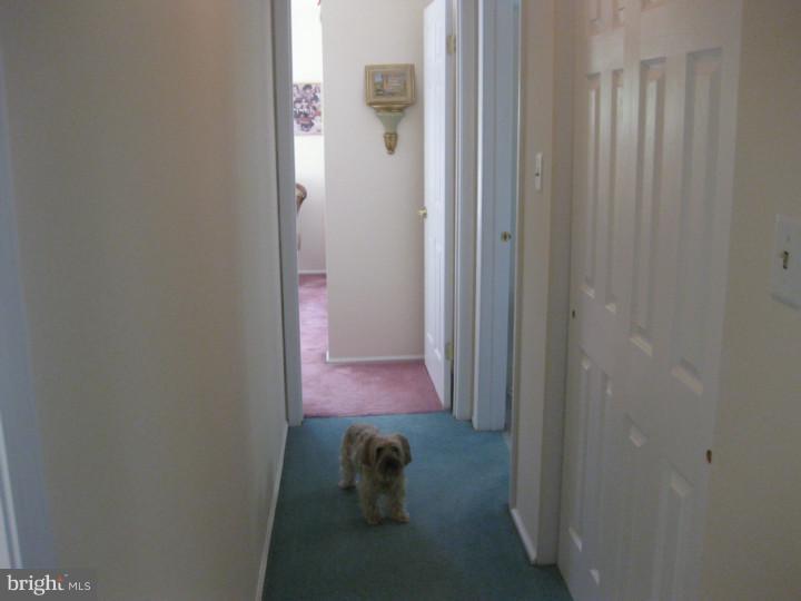 1604 2nd Street Delanco, NJ 08075 - Photo 17 of 22 Hallway