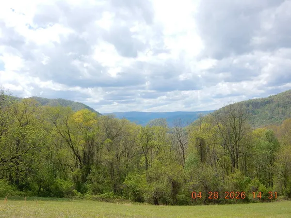 $99,900 | Tbd Tbd Flag Rock Trail, Warm Springs, VA 24484