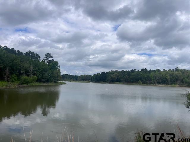 Tbd High Pnes Drive Tyler, TX 75708 - Photo 11 of 11 a view of a lake from a yard