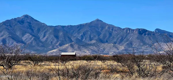 a view of a lush green field