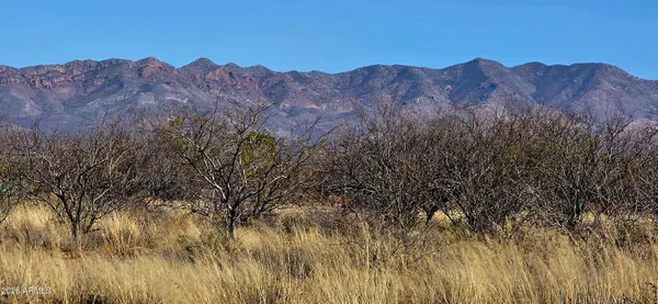 a view of a dry yard with mountains in the background