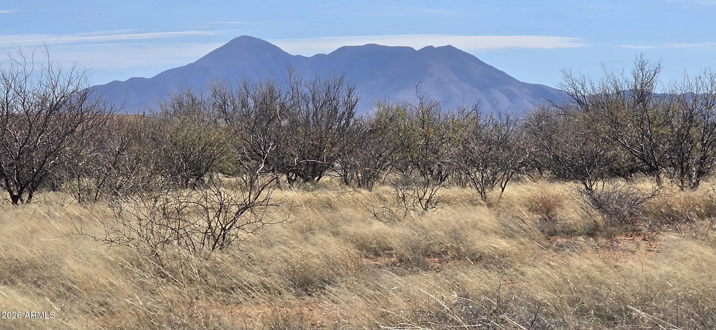 8254 South Airstrip Road, Unit 14 Hereford, AZ 85615 - Photo 5 of 7 a view of a dry yard with mountains in the background