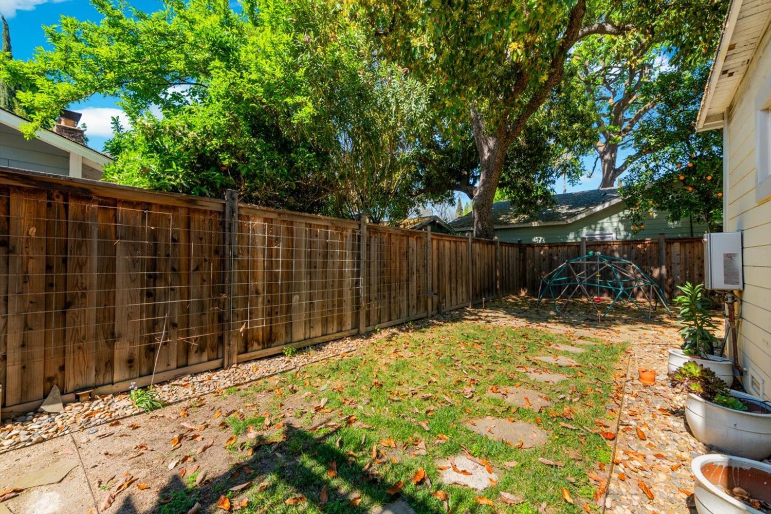 1121 4th Street Davis, CA 95616 - Photo 37 of 40 a view of backyard with wooden fence and a large tree