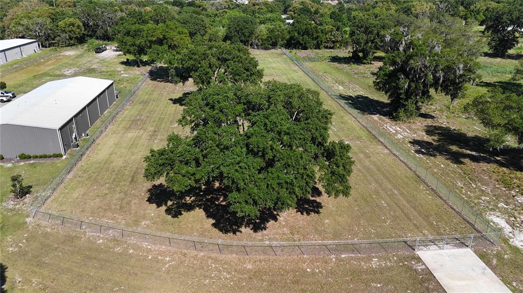 980 Duck Box Road Umatilla, FL 32784 - Photo 4 of 9 Gallery Image 4