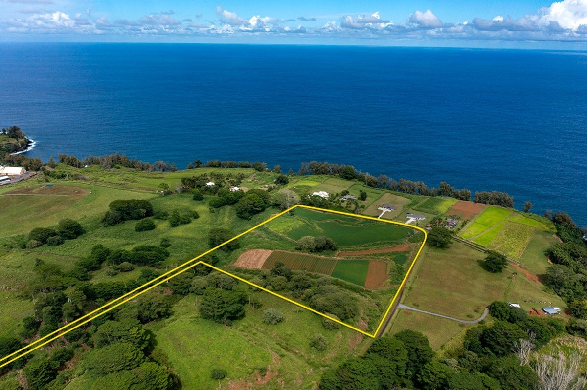 Lot 83-t, Pepeekeo Hi 96783 Pepeekeo, HI 96783 - Photo 1 of 14 a view of an ocean and beach